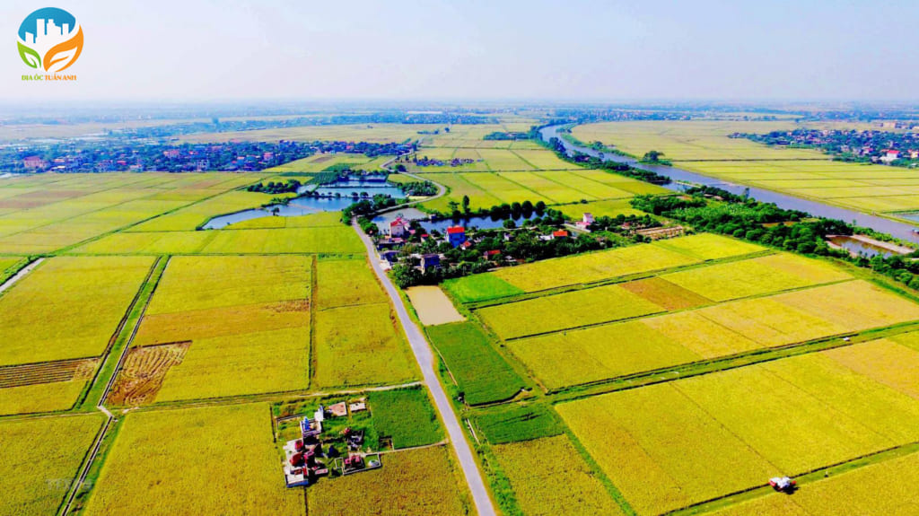 Quy Hoạch Thị Trấn Hiệp Phước Nhơn Trạch 2025 | Giá Đất Thị Trấn Hiệp Phước Nhơn Trạch 6 nong-nghiep-thi-tran-hiep-phuoc